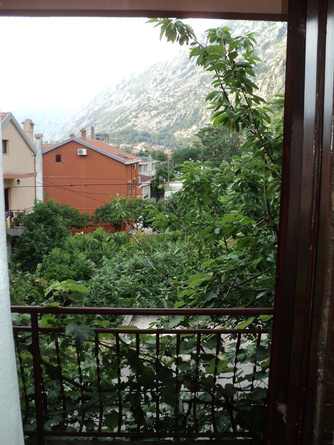Apartments Skaljari Котор Экстерьер фото